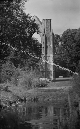 ABBEY RUINS FROM E.